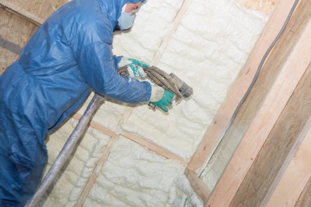 Best Spray Foam Insulation  in Inesville, GA